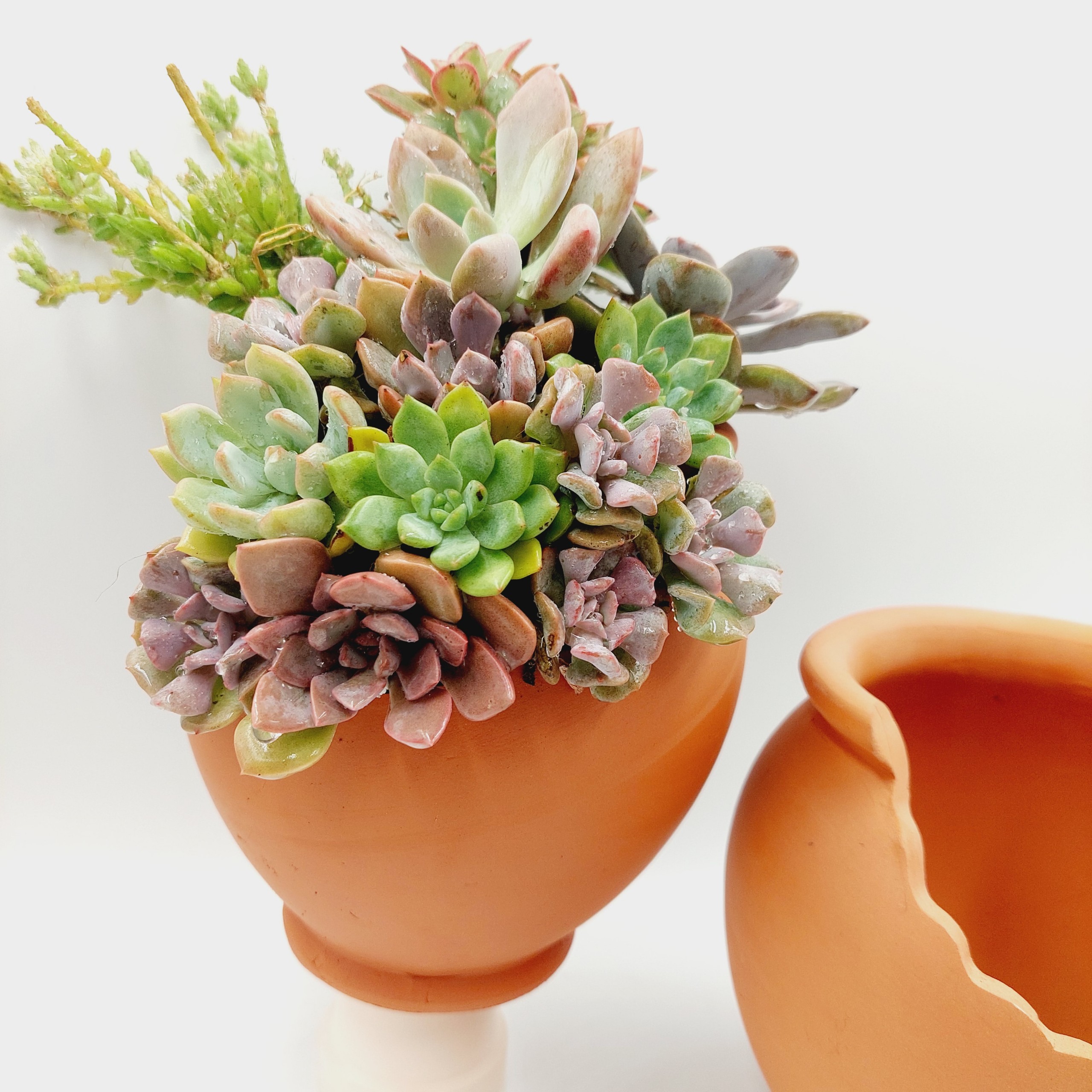 Chậu đất nung, chậu sen đá - Chum 1014, miệng chậu 10cm, chiều cao 14cm