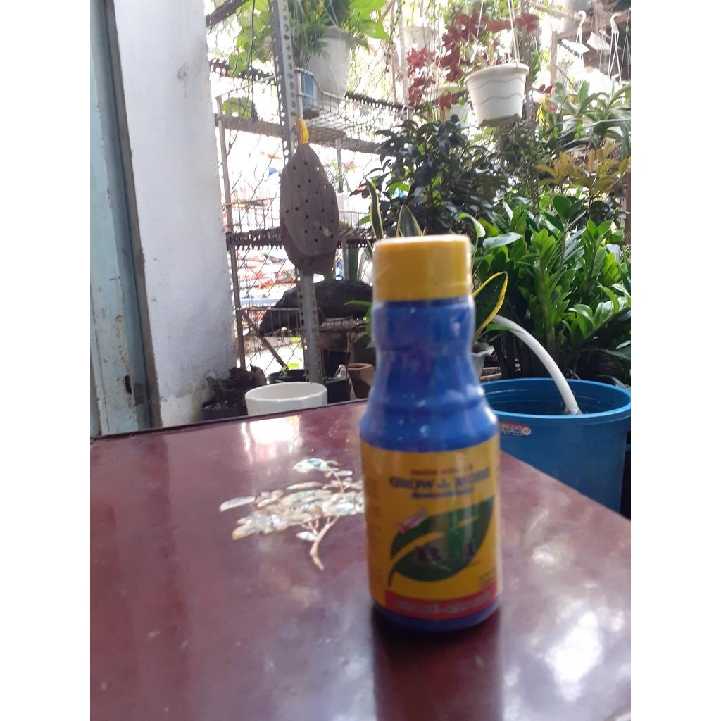 B1-kích rễ-đâm chồi, phân bón lá 35k/100ml lọ.