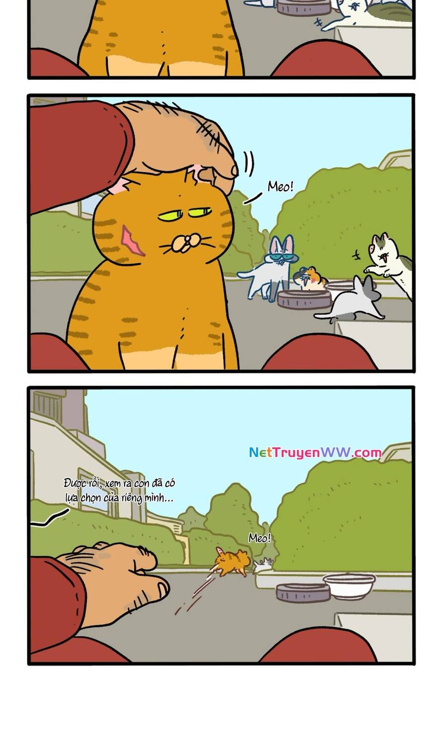 a mãn và mạch trà chapter 158.2 4