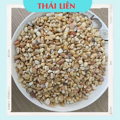 Sỏi Vàng_ Trải Nền Hồ Thủy Sinh, Hồ Cá Cảnh Mini Để Bàn, Rải Mặt Chậu Sen Đá, Tiểu Cảnh Terrarium