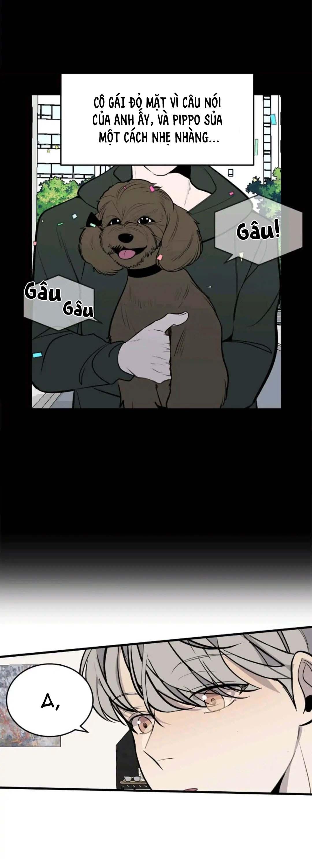 sao notp lại thành thật rồi? chapter 16 20