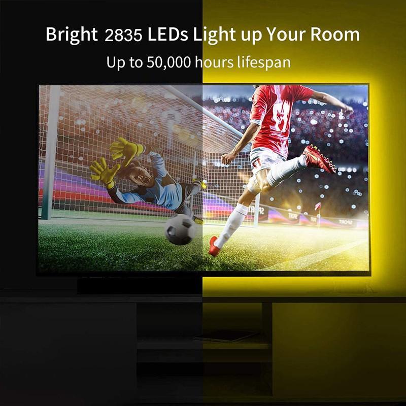 Dây Đèn Led 5m Rgb Smd2835 12v Chống Thấm Nước Dùng Để Trang Trí