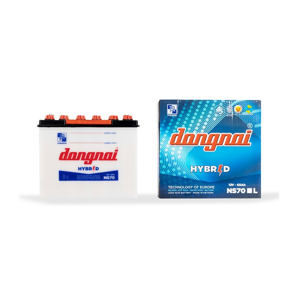 Ắc Quy DongNai NS70 12V-65AH