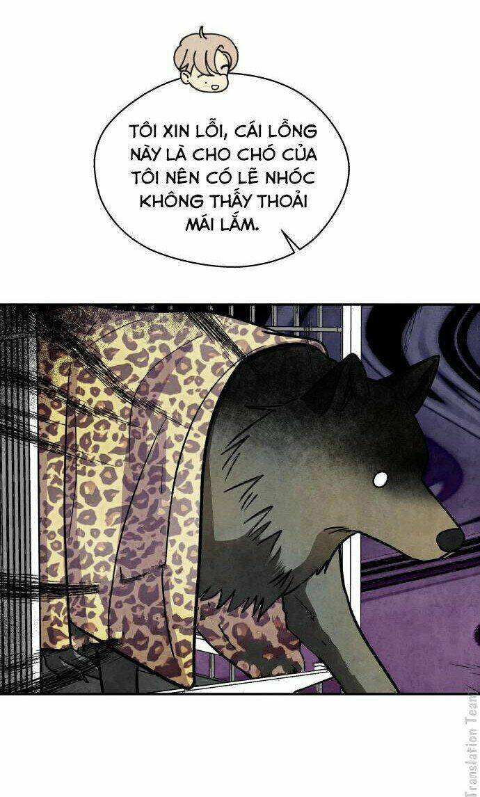 tai sói và mũ đỏ chapter 36 4