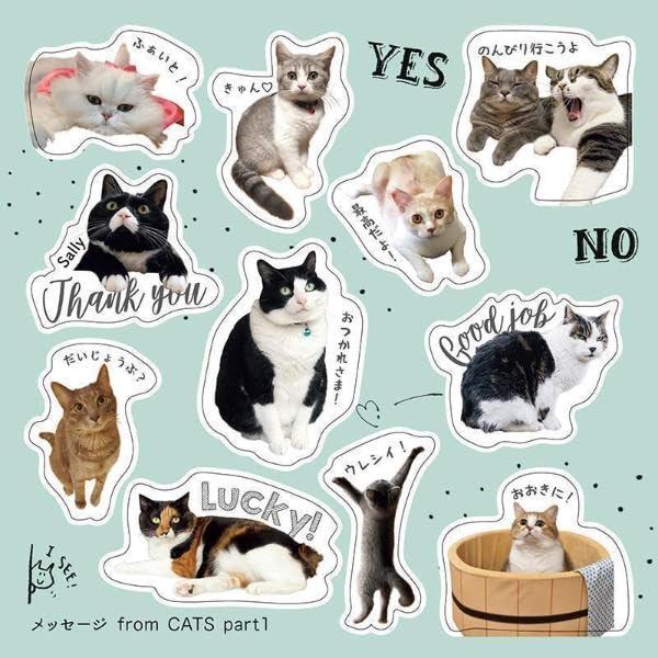 Sách ngoại văn: SNSで人気の有名ねこさんだらけ、応援ワード編! ねこいっぱいシールブック - Neko Ippai Seal Book