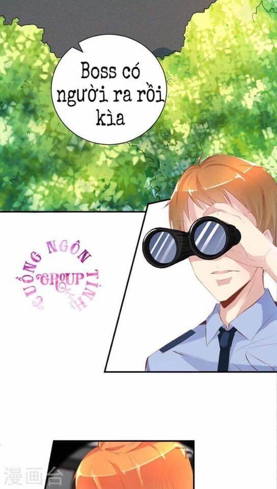 người vợ bí ẩn của tổng tài chapter 18 17