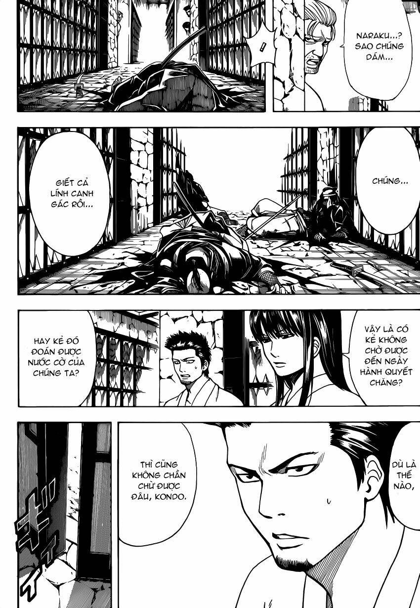 gintama - linh hồn bạc chapter 531 3