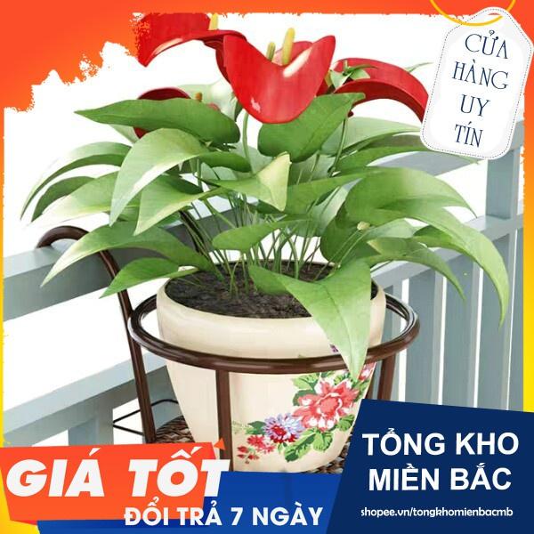 Giá treo cây cảnh ngoài ban công