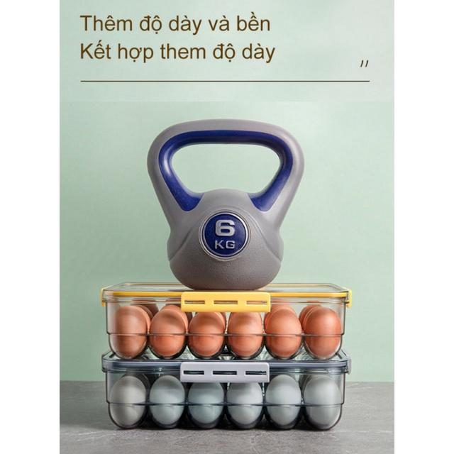 Hộp bảo quản trứng 24 ngăn Fresh&Dial nắp kín
