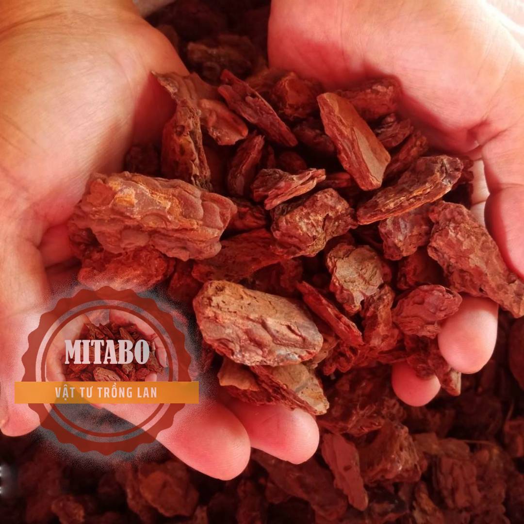 5kg vỏ thông kích thước 1-2cm