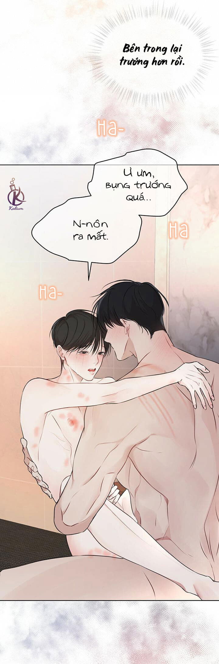 hình thái khởi sinh chapter 29 28