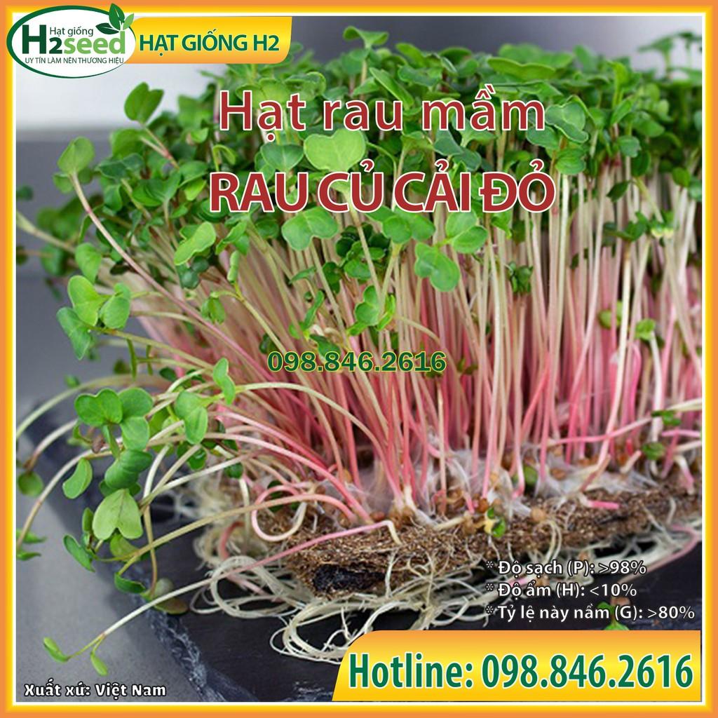 Gói 50g Hạt rau mầm rau Củ cải Đỏ - Hạt rau chất lượng cao, nảy mầm đồng đều