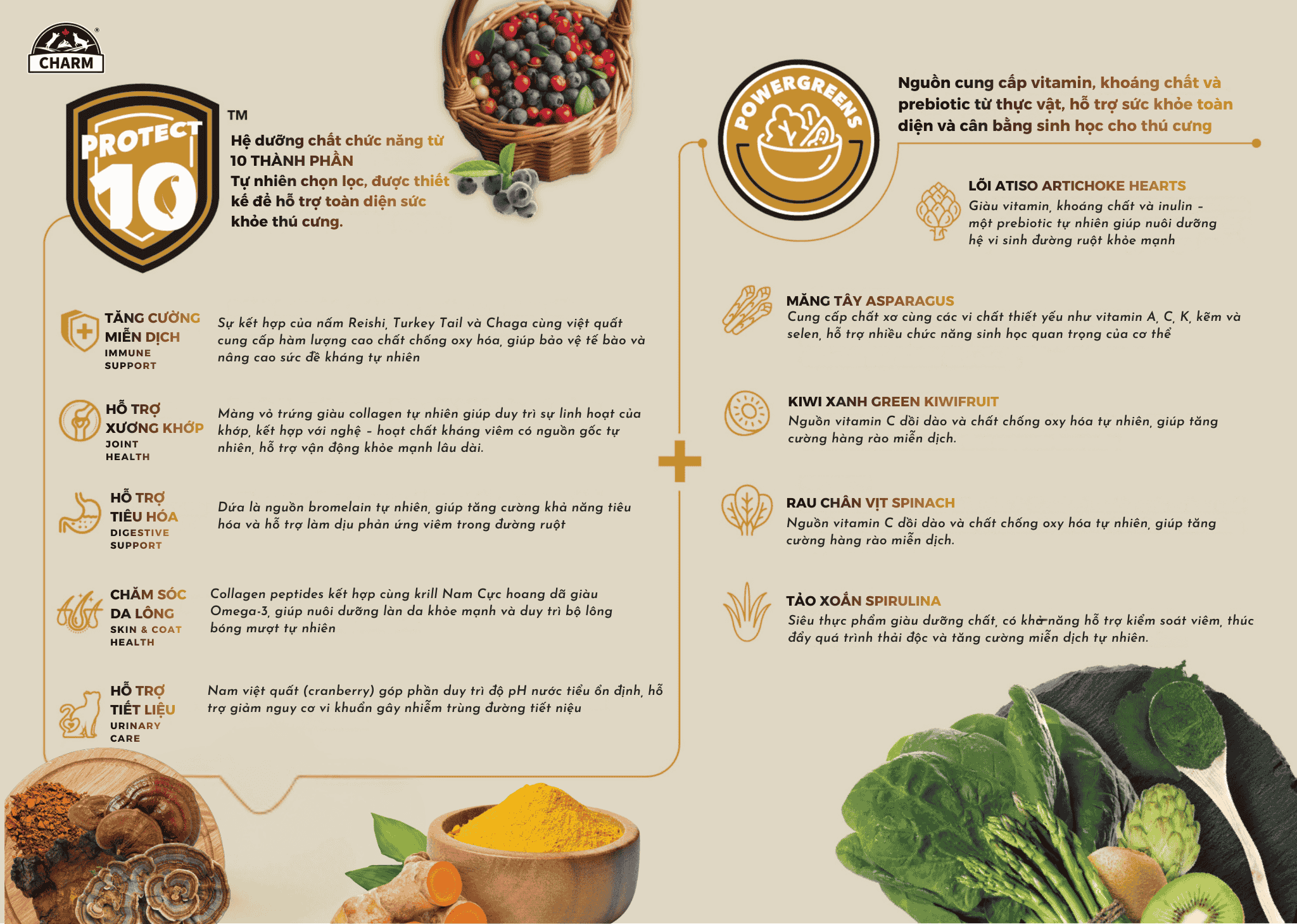 Thức Ăn Hạt Mèo cao cấp Cá Đại Dương CHARM North Atlantic Ocean Fish Cat Food Canada - CHỌN