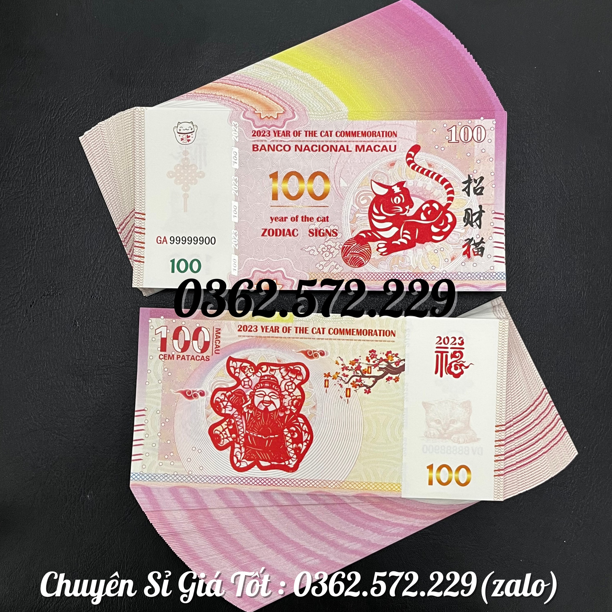 Tiền con Mèo Macao lưu niệm năm Qúy Mão 2023 Lì Xì Tết Mệnh Gía 100