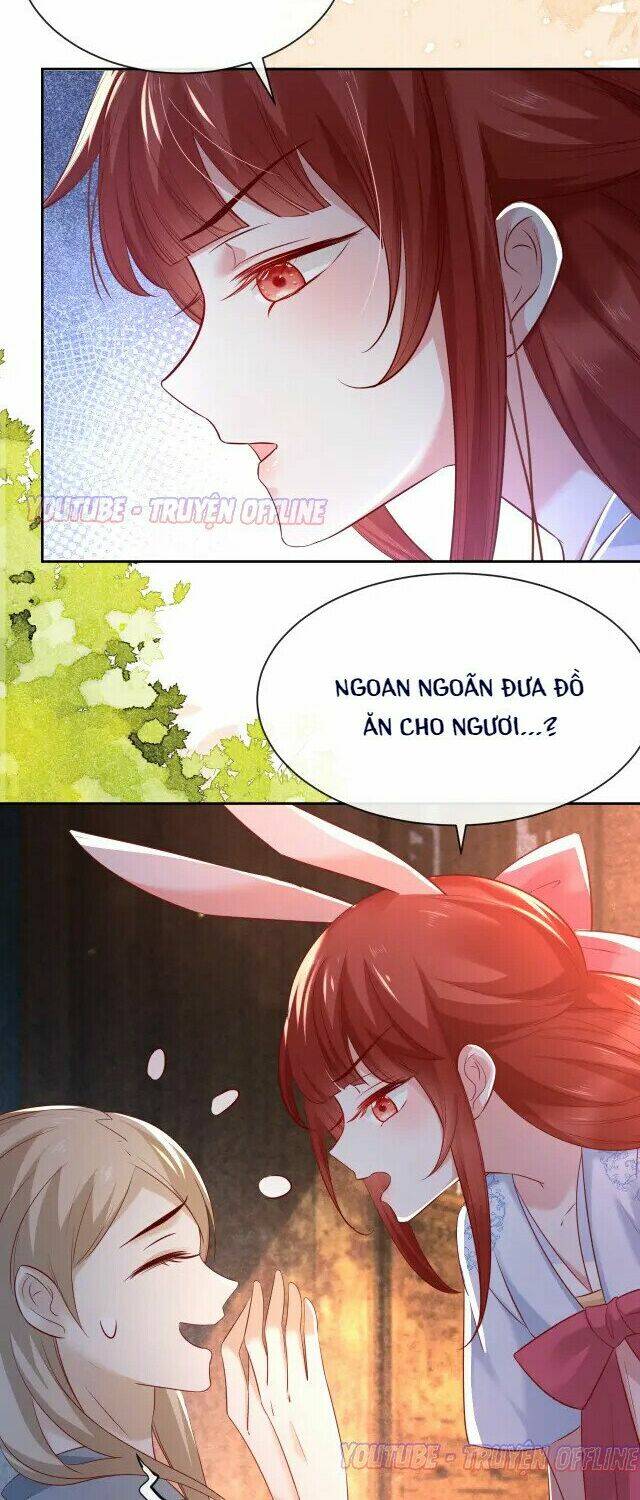 hắc hóa nam chính trực tuyến nuôi thỏ chapter 27 4