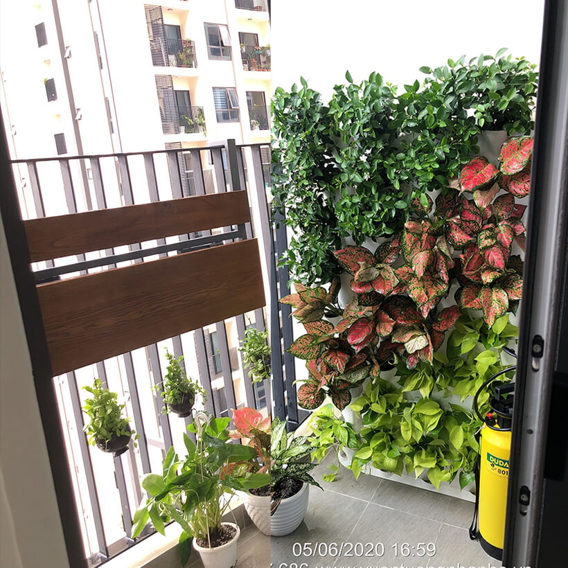 Khung Vườn Đứng Cây Ban Công dùng trồng cây xanh treo tường dạng đứng