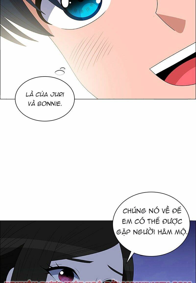 no scope chapter 100 45