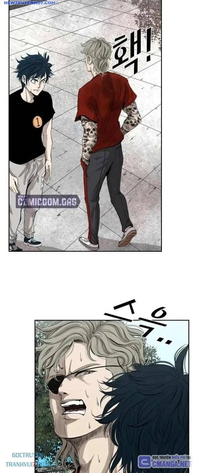 shark - cá mập chapter 127 22