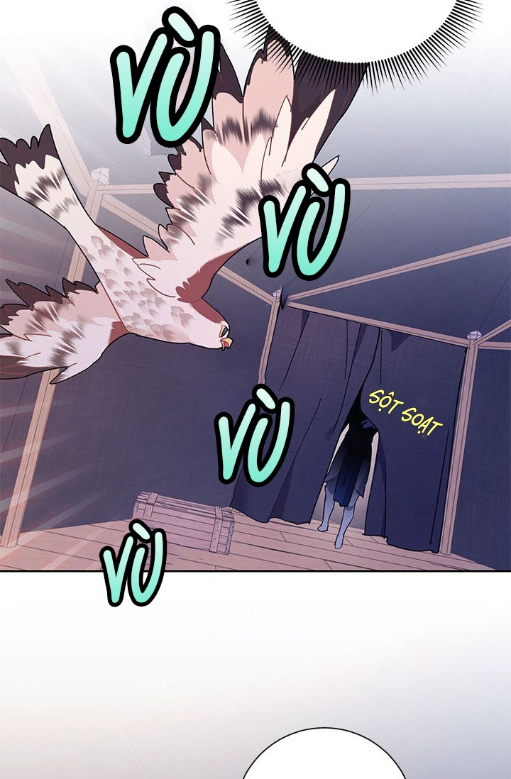 công chúa của loài chim chapter 33 54