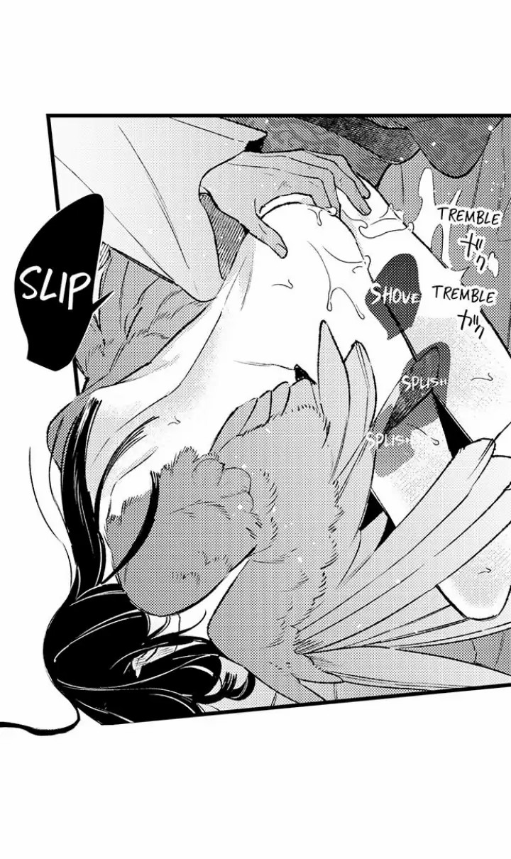 điểu thượng minh hoa chapter 3.2 7