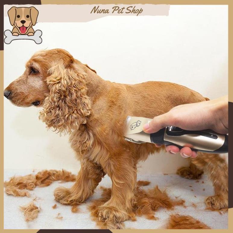 Bộ tông đơ cắt lông cho chó mèo Clipper cao cấp