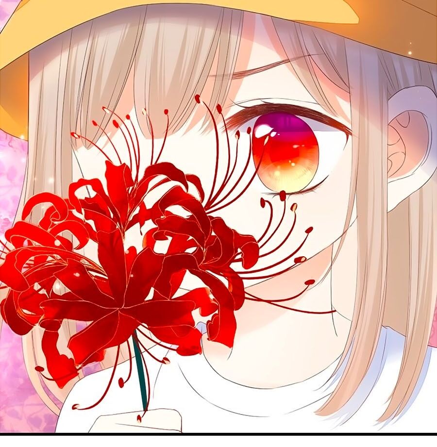 hoa chưa nở rộ chapter 39.6 20