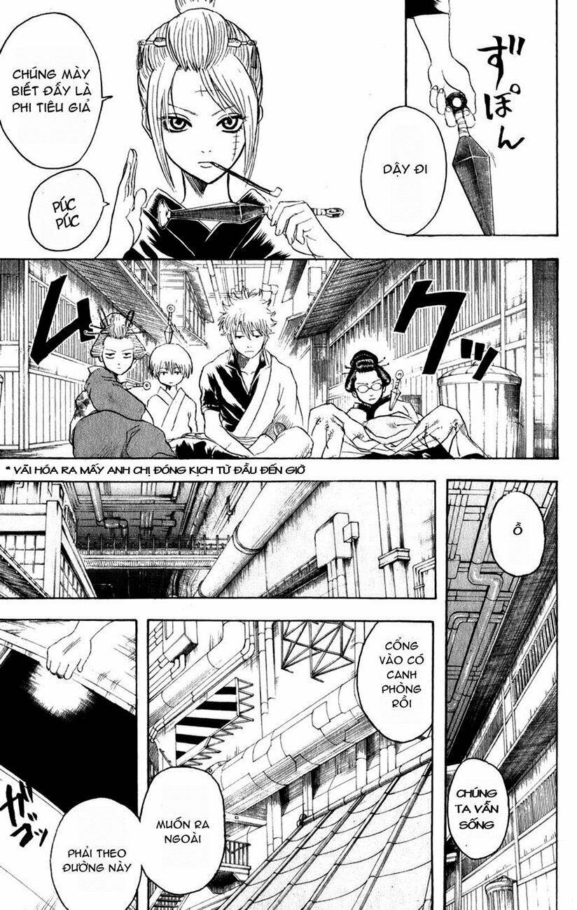 gintama - linh hồn bạc chapter 212 9