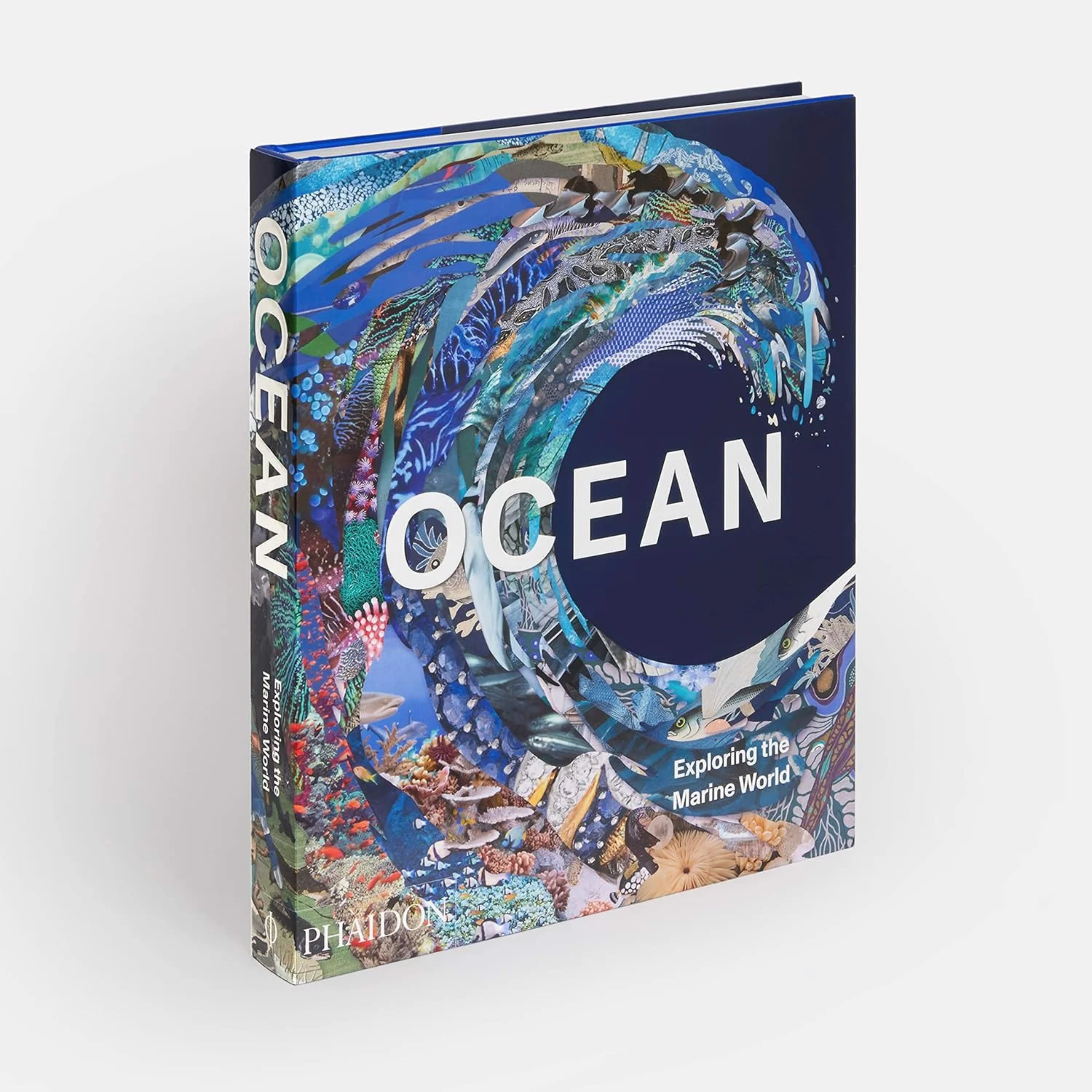 Artbook - Sách Tiếng Anh -  Ocean: Exploring the Marine World