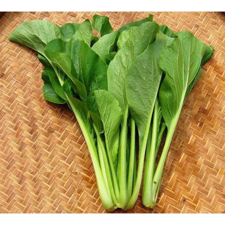 Hạt Giống Cải Ngọt gói 20gr, hat giong rau sach thuy canh