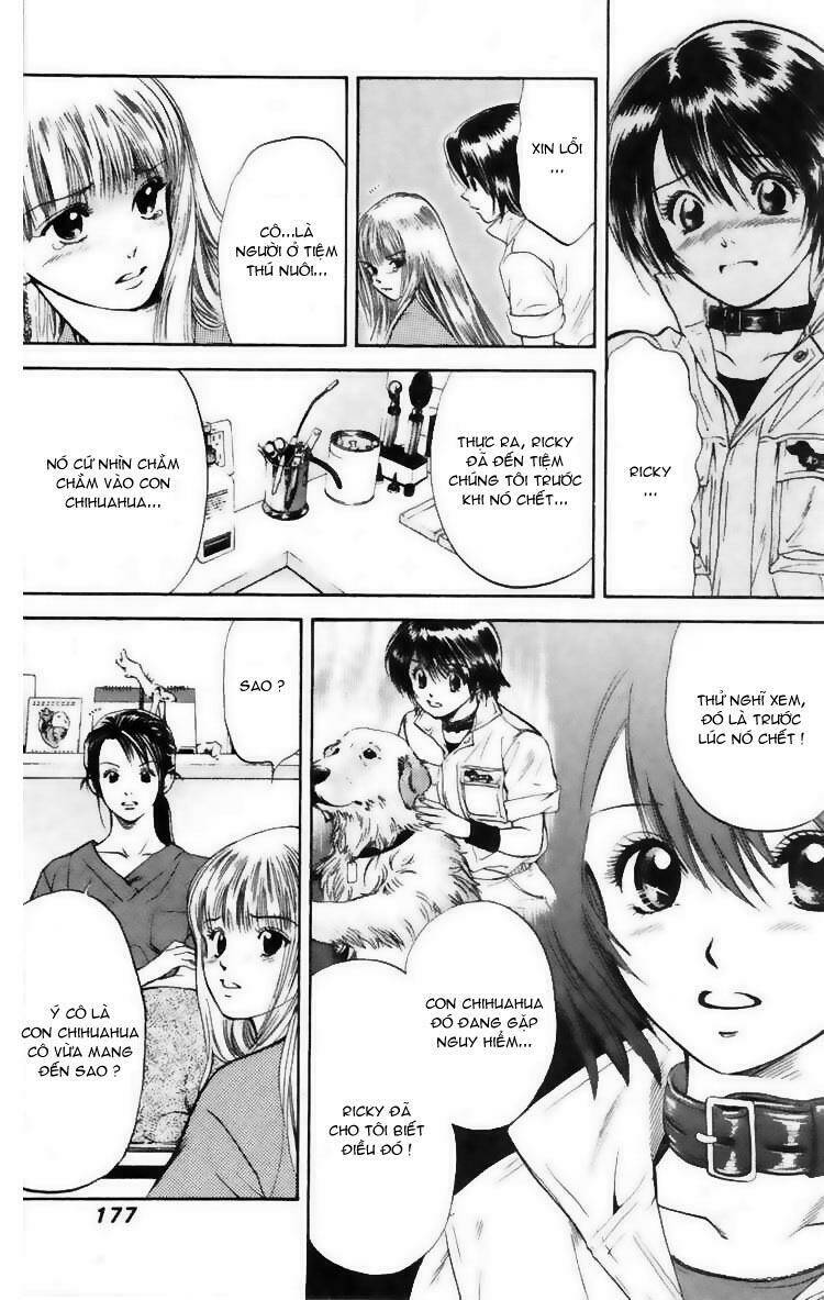 cô nàng yêu chó chapter 7 5