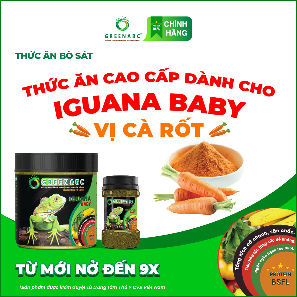 Thức ăn bò sát Iguana Baby GREENABC vị cà rốt dùng cho Iguana từ mới nở cho đến 9x giúp tăng kích thước, lên màu đẹp, phòng chống MBD, teo đuôi – Hộp 230g