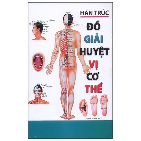 Đồ Giải Huyệt Vị Cơ Thể