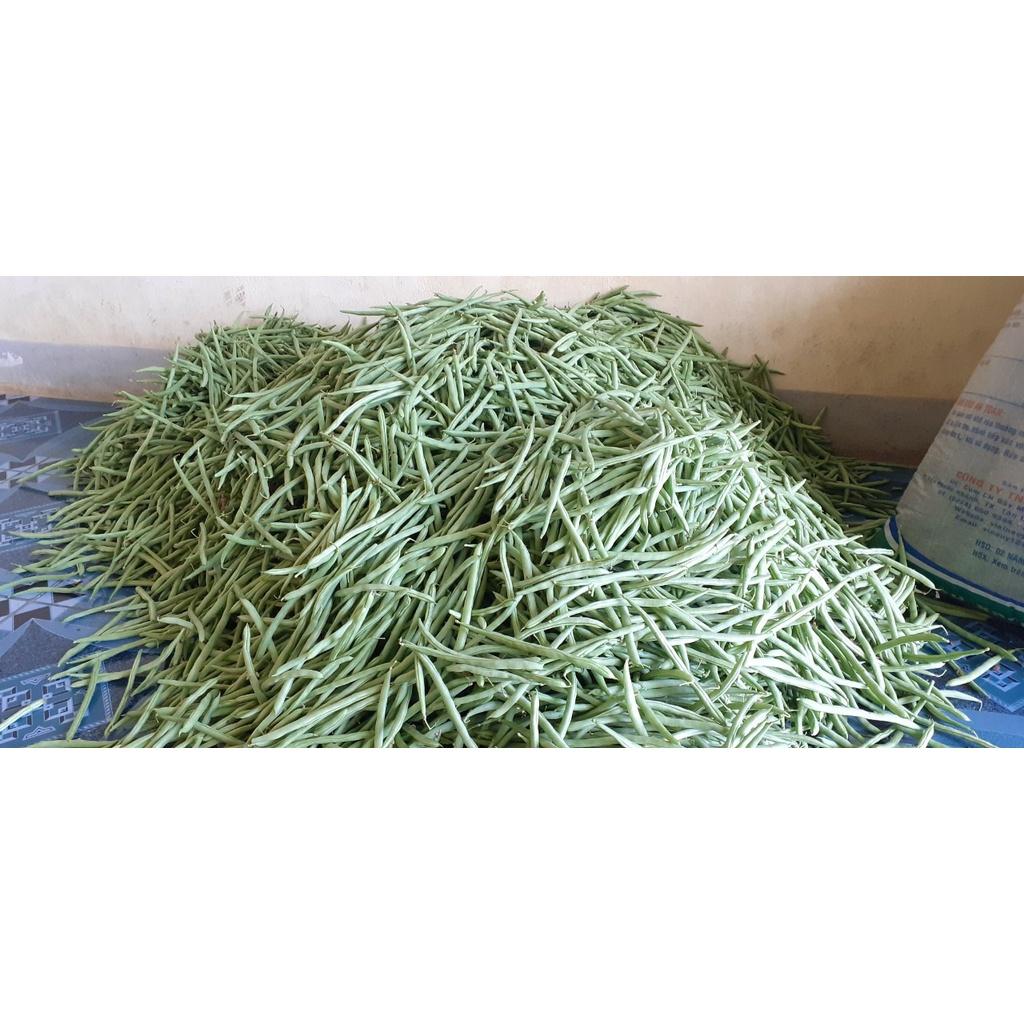 Hạt giống đậu Cove hạt đen cao sản - Agri Polo 117