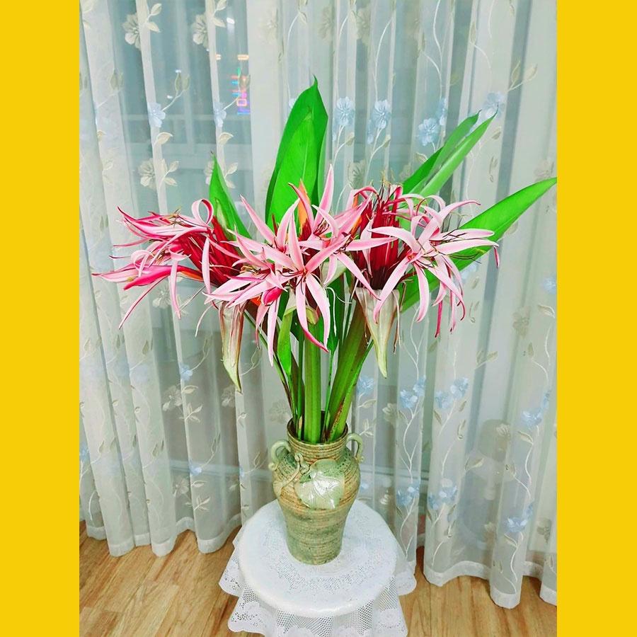 Bình hoa lọ hoa dáng cao miệng rộng đắp nổi hoa sen gốm Minh An Bát Tràng cao 30cm