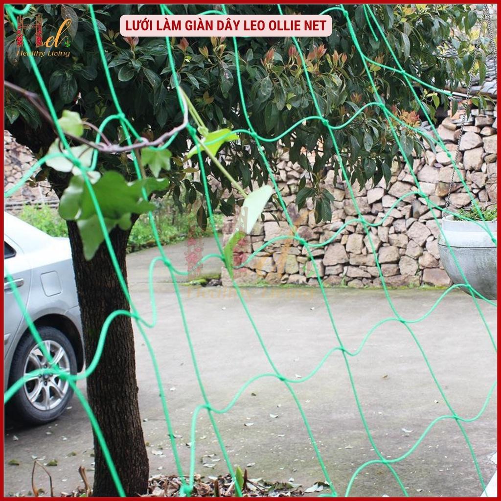 Lưới Làm Giàn Dây Leo Lưới Làm Giàn Dưa Leo, Hoa, Đậu Leo, Giàn Cây Bền Chắc