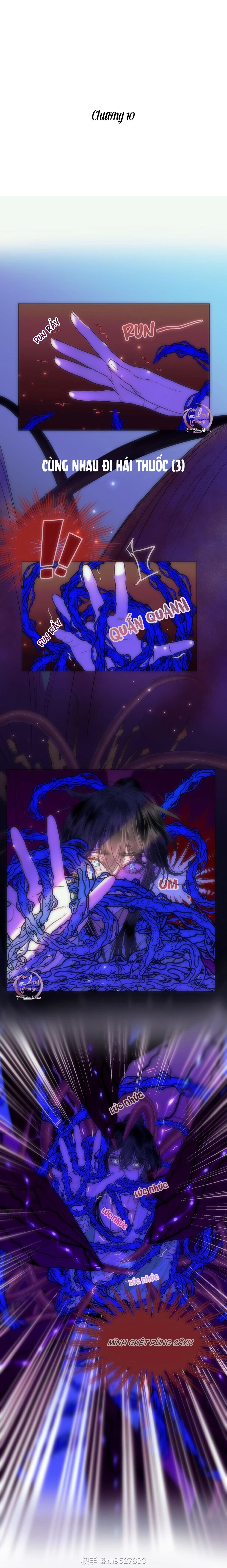 vài câu chuyện với sư tôn sau khi xuyên sách chapter 10 1