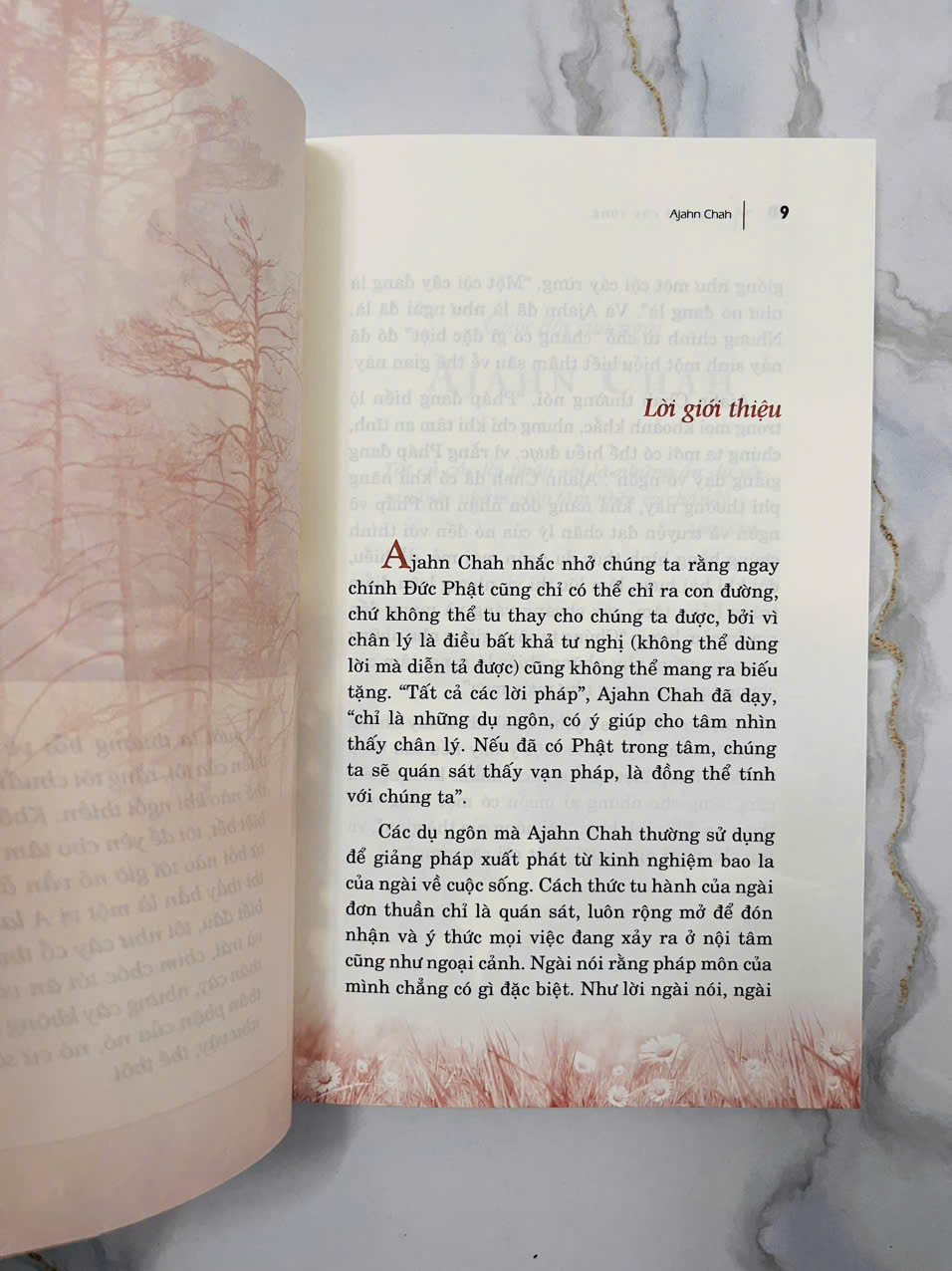 Sách - Một Cội Cây Rừng - (VLA)