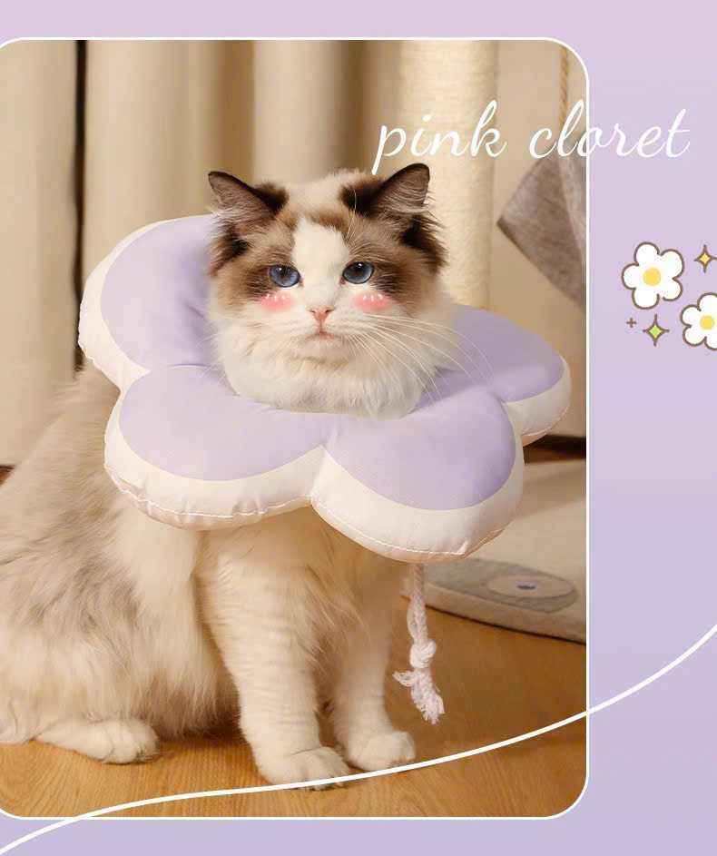 VÒNG CỔ THÚ CƯNG VÒNG CỔ LOA CHỐNG LIẾM CHO THỎ CHÓ MÈO BÔNG HOA DỄ THƯƠNG TỪ 0.5-5.5KG MÃ 10 CHO CHÓ MÈO THỎ