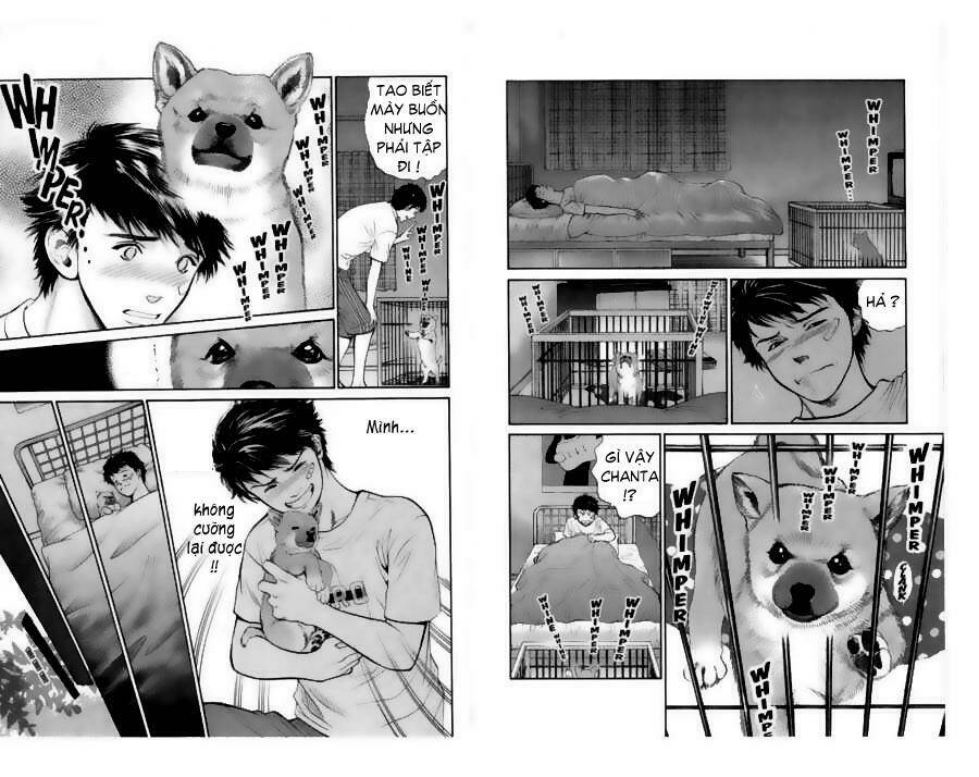 cô nàng yêu chó chapter 20 11