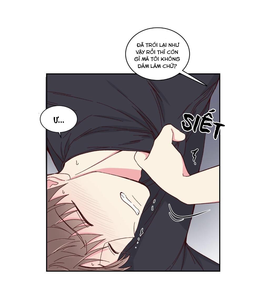 món tráng miệng của sếp tổng chapter 57 7