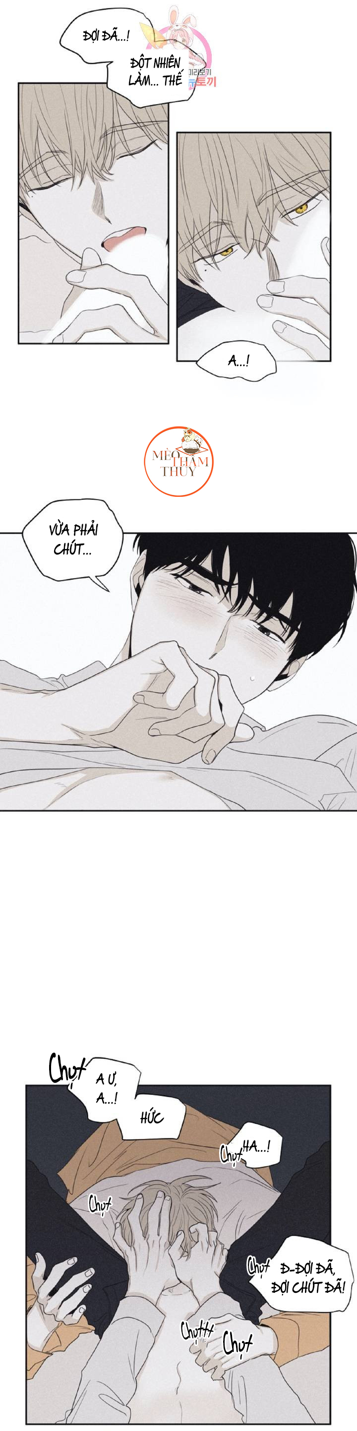 chiếu tướng chapter 26 17