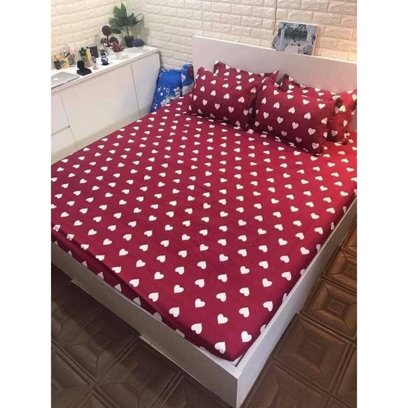 Bộ 5 món Chăn Ga Gối Poly Cotton Tim Đỏ ️
