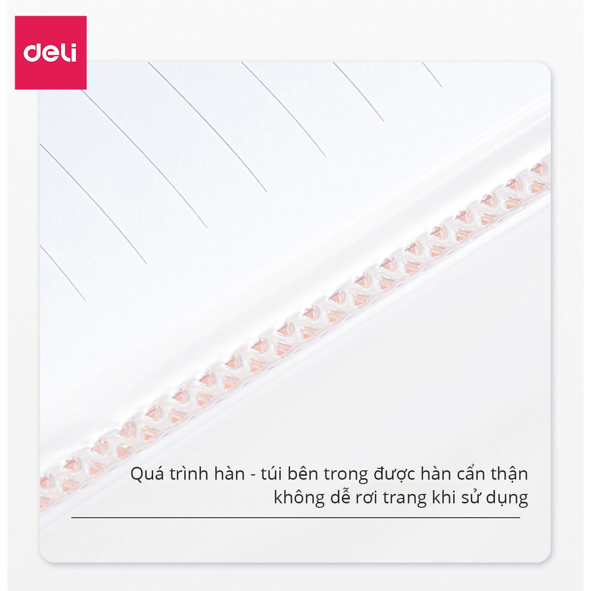 File Tài Liệu File Lá Học Sinh Deli A4 Tệp Đựng Tài Liệu Văn Phòng 20/30/40 Trang Màu Pastel