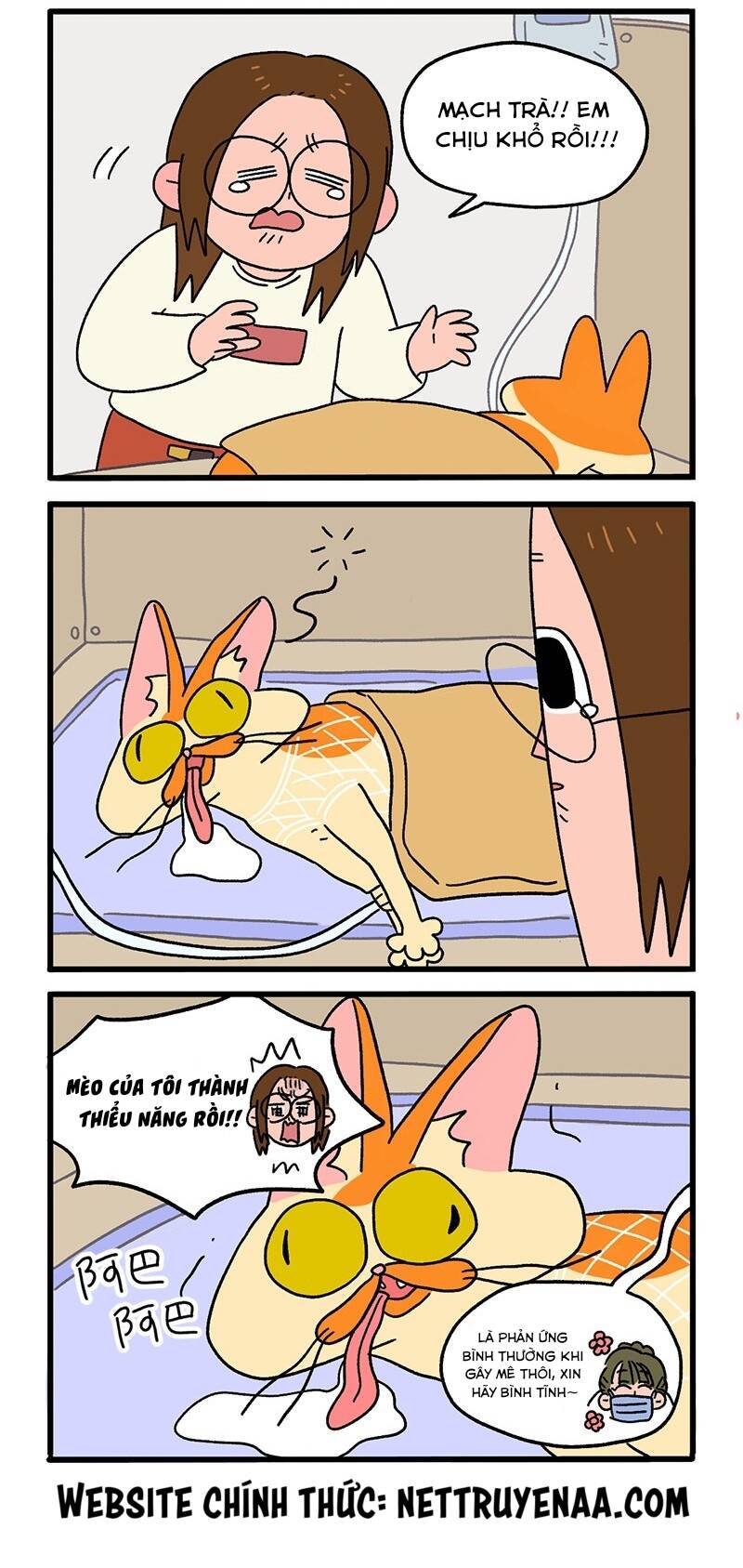 a mãn và mạch trà chapter 17 2