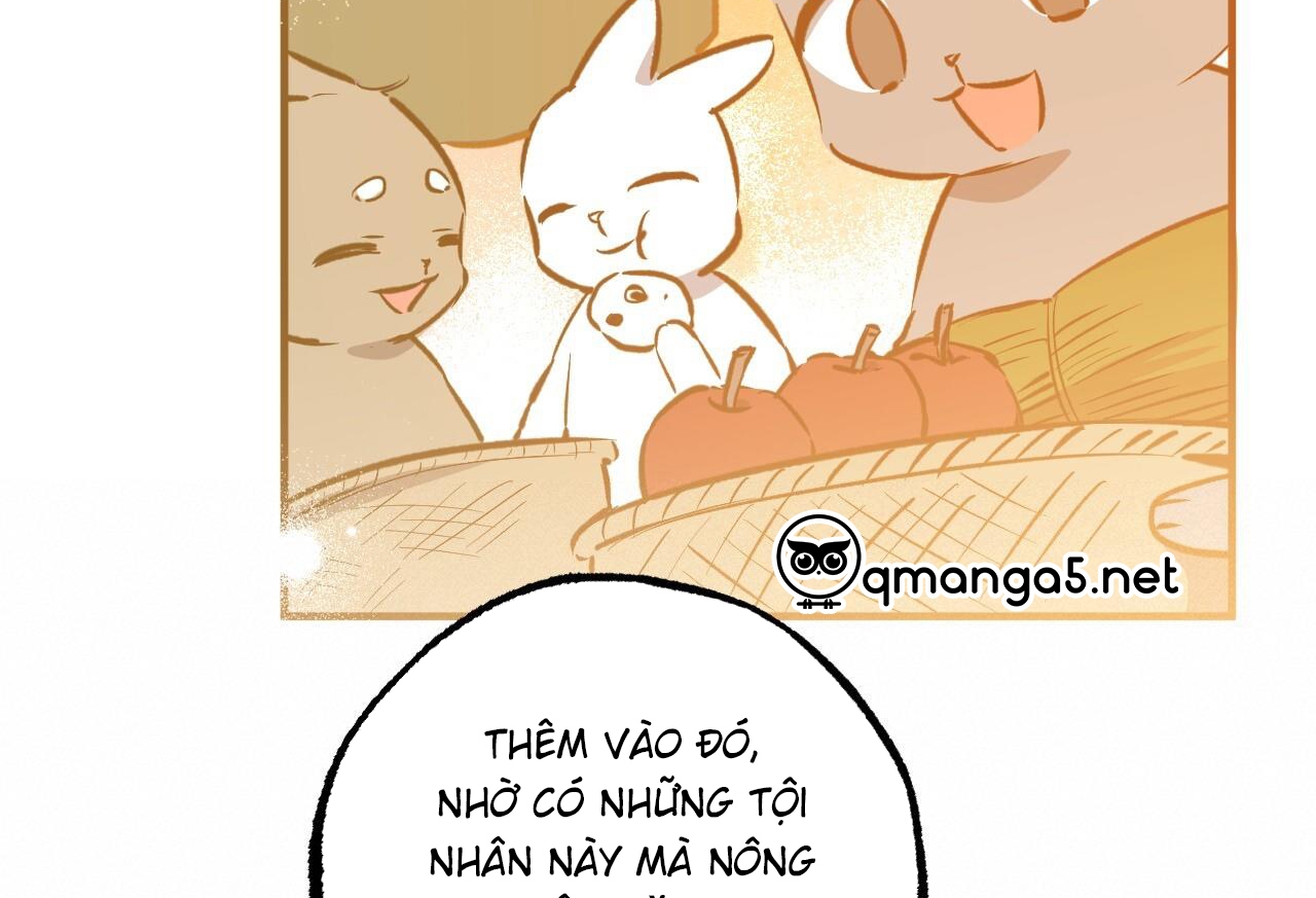 đàn thỏ của habibi chapter 64 89