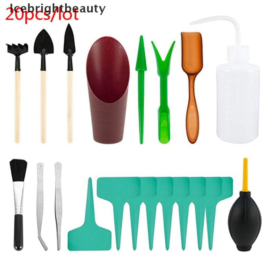 Icebrightbeauty 20pcs/set Garden Planter Kit Succulent Planting DIY Transplant Gardening Tools VN