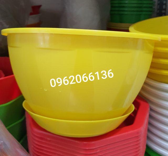 Chậu treo kèm đĩa