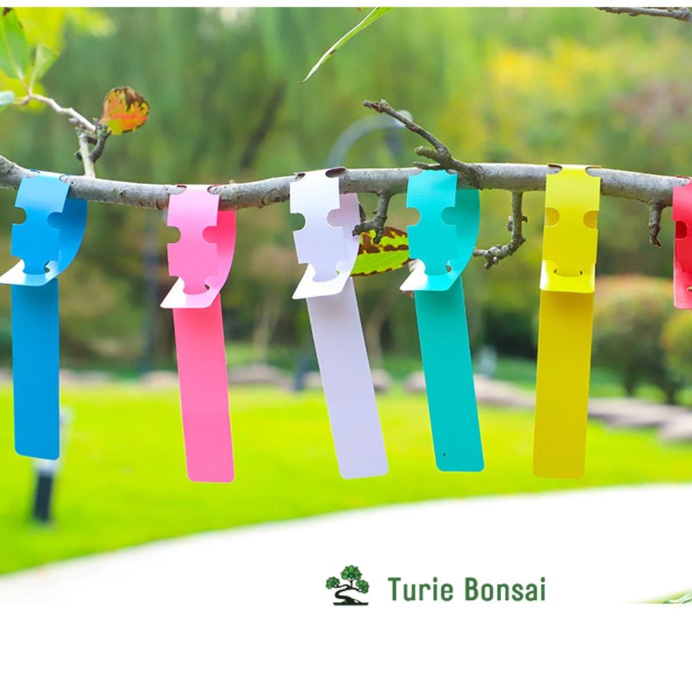 Thẻ Ghi Tên nhựa PVC Chống Nước Treo Cây Trồng màu giao ngẫu nhiên