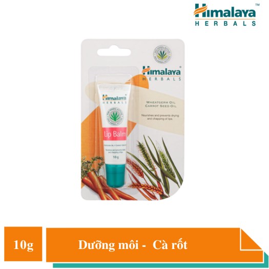 COMBO 2 TUÝP SON DƯỠNG HỒNG MÔI KHỬ THÂM CHIẾT XUẤT CÀ RỐT HIMALAYA LIP BALM 10G