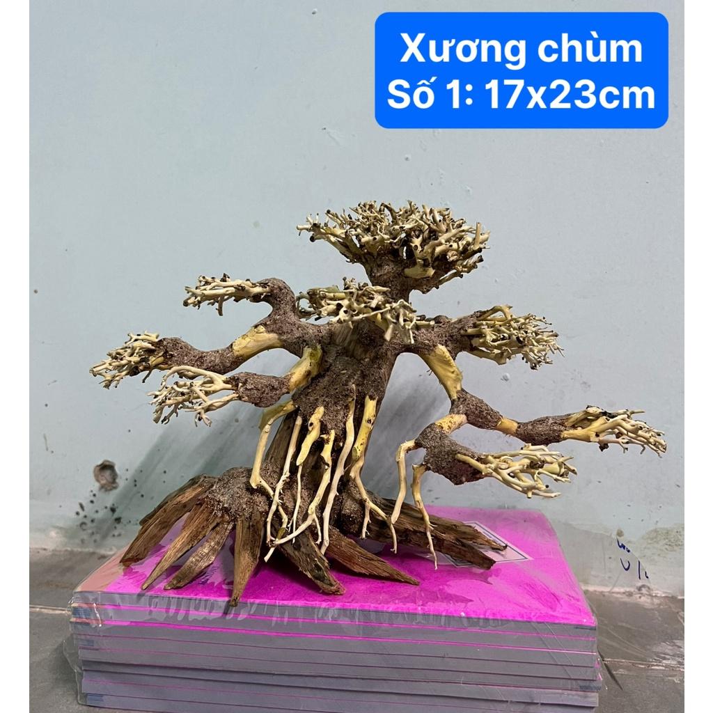 Lũa Bonsai Gắn Rêu - Bonsai Rêu Nhựa Trang Trí Hồ Cá, Thuỷ Sinh